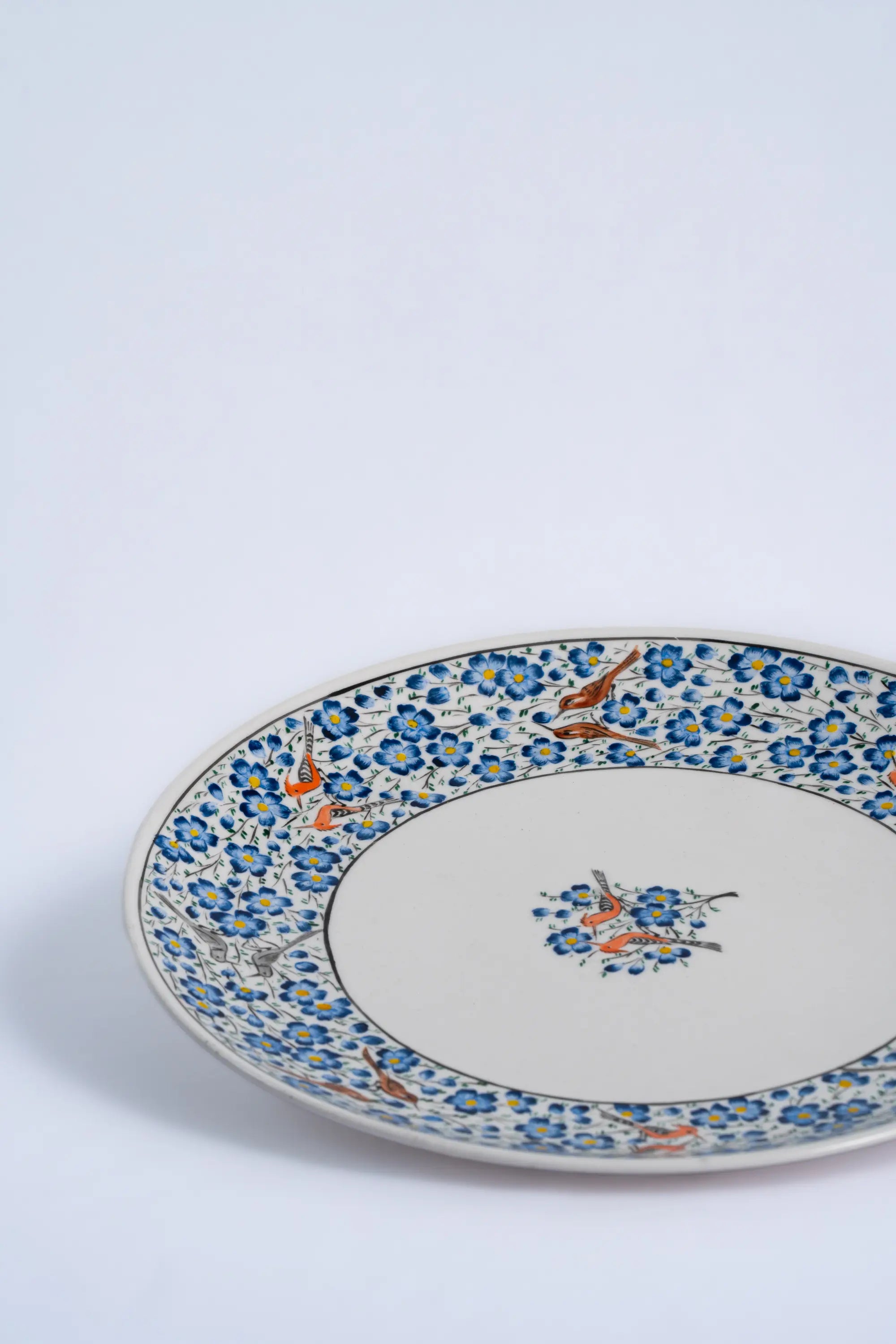 Dinner plate
